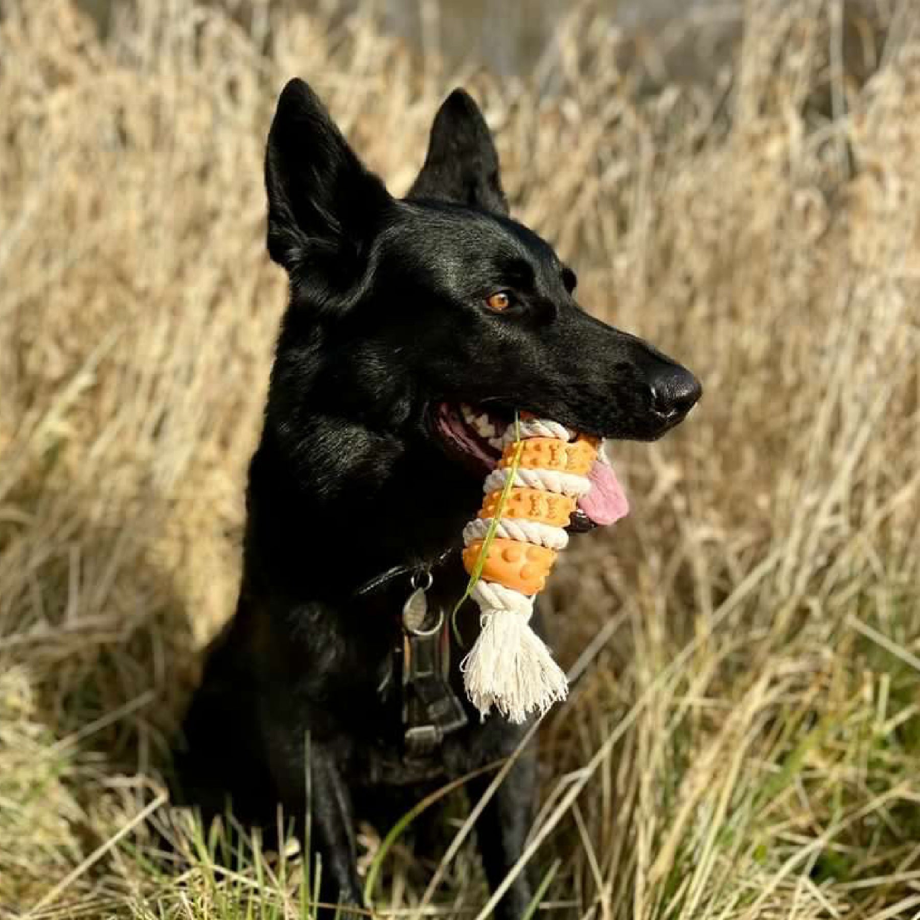 Made From Rice Tugger Dog Toy