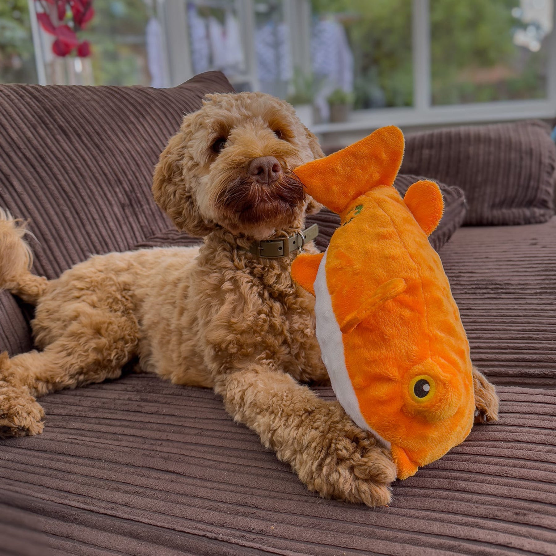 Made From Puffer Fish Dog Toy