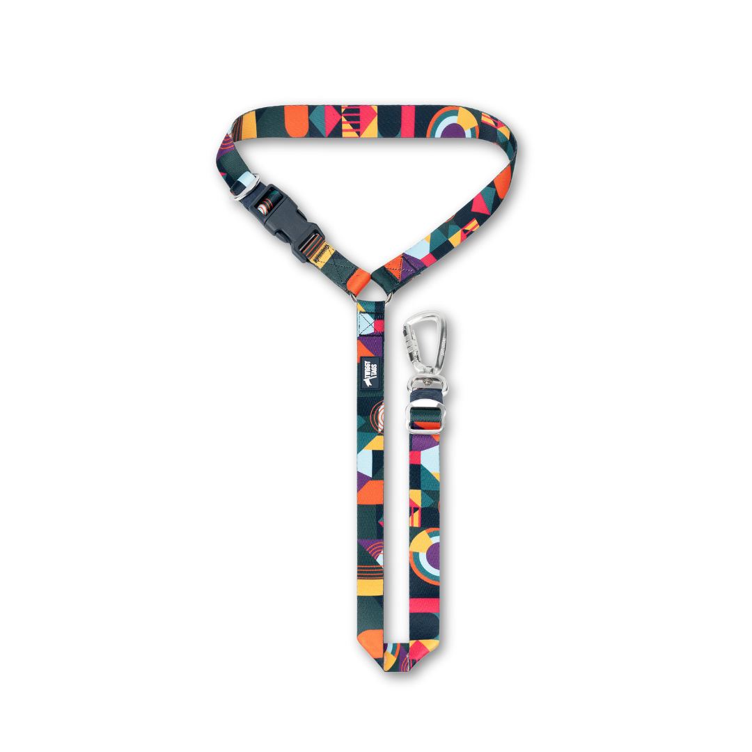 Twiggy Tags Aurora Adventure 2.0 Dog Safety Seatbelt