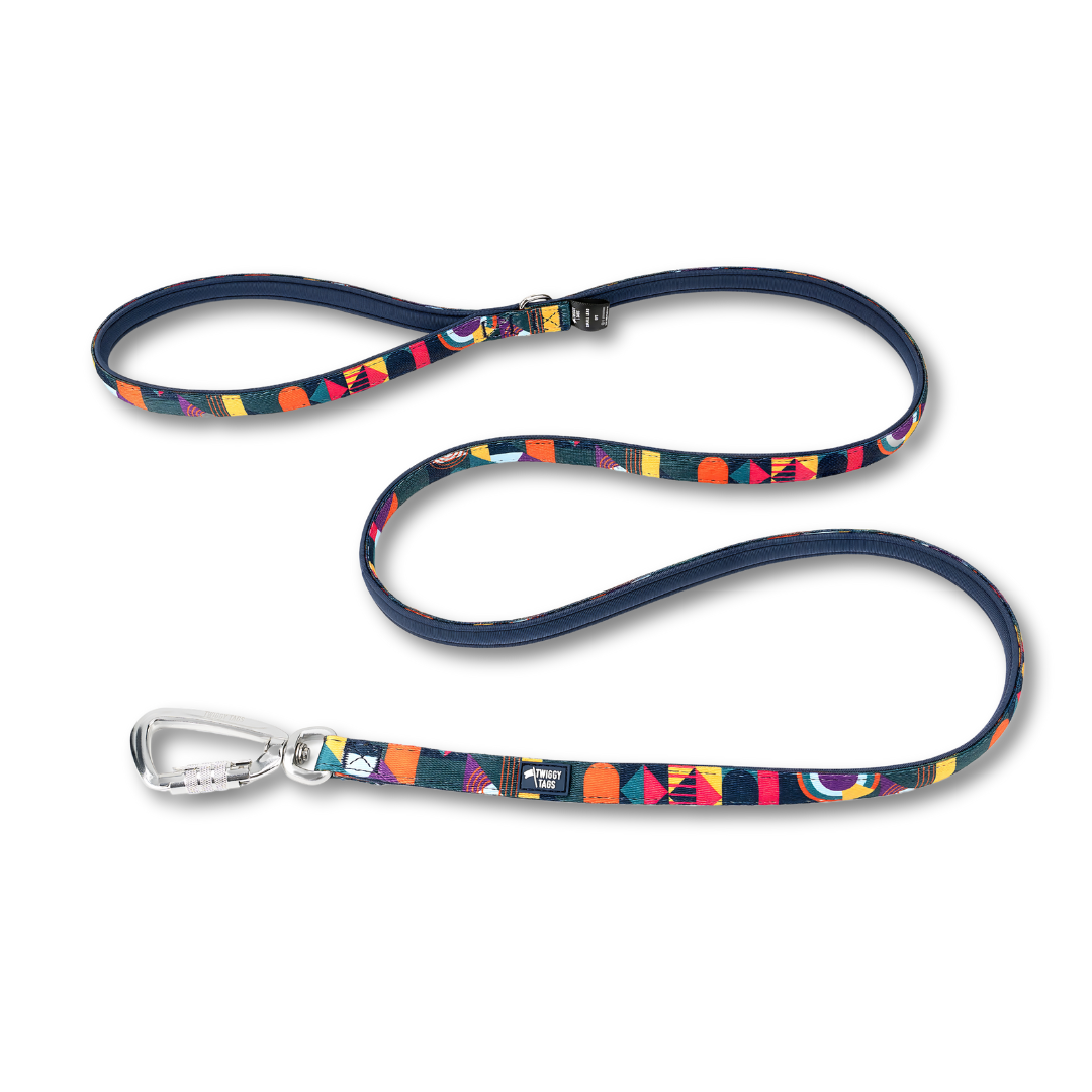 Twiggy Tags Aurora Adventure 2.0 Lead Small