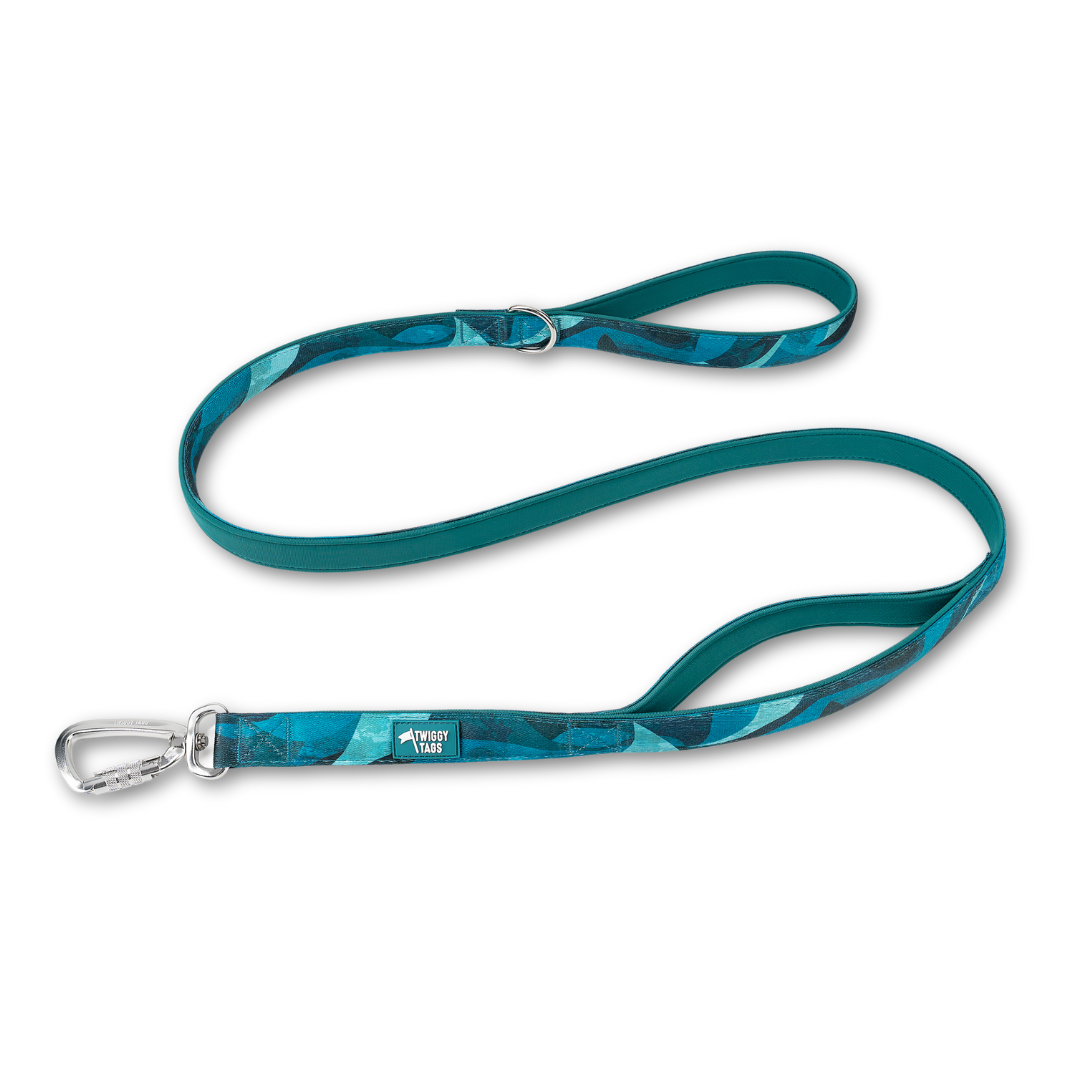 Twiggy Tags Lagoon Adventure 2.0 Lead Close Control