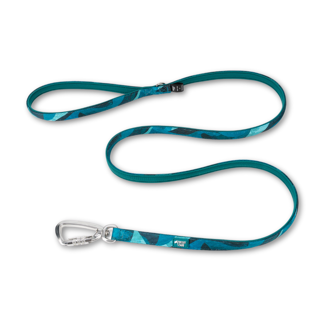 Twiggy Tags Lagoon Adventure 2.0 Lead Small