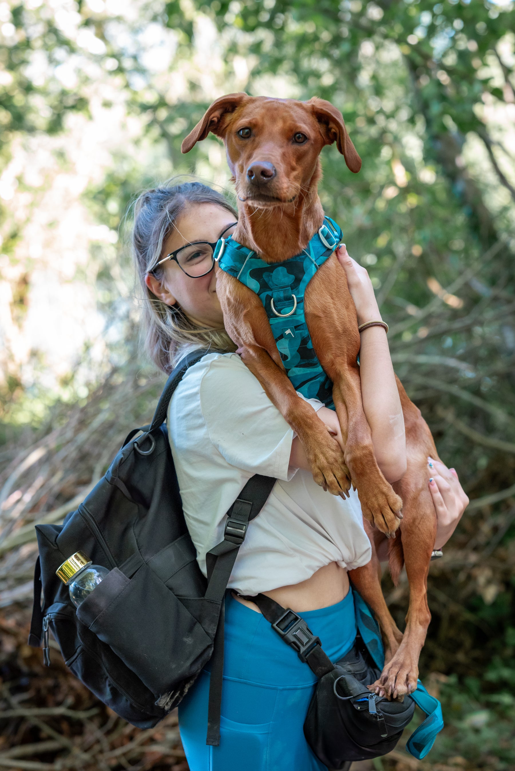 Twiggy Tags Lagoon Adventure 2.0 Harness (6 sizes)