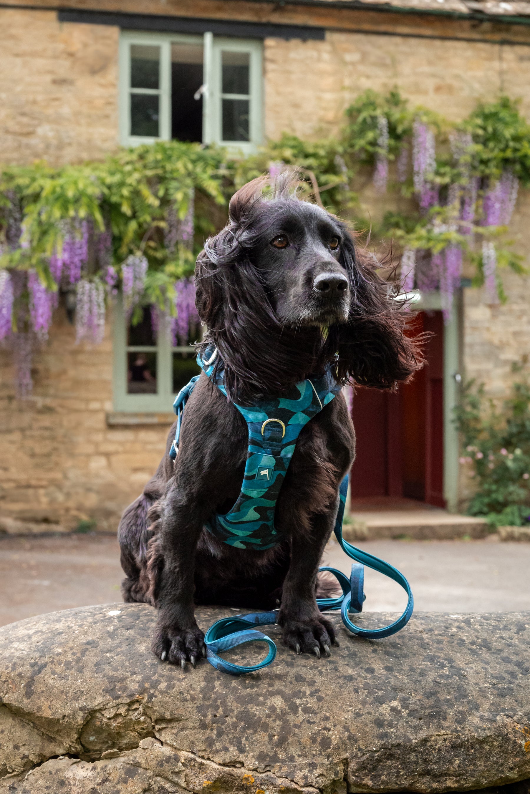 Twiggy Tags Lagoon Adventure 2.0 Lead Small