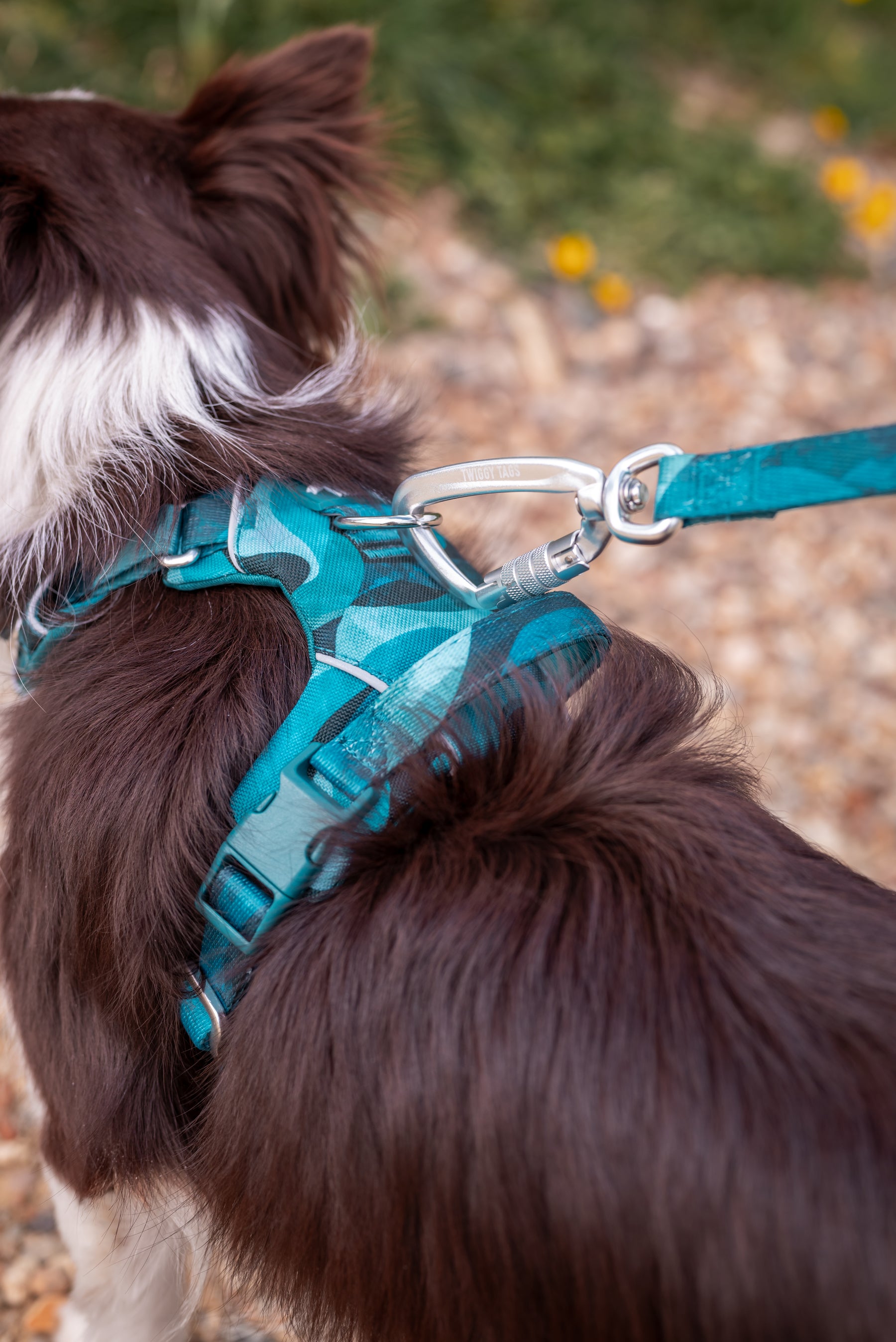 Twiggy Tags Lagoon Adventure 2.0 Lead Small