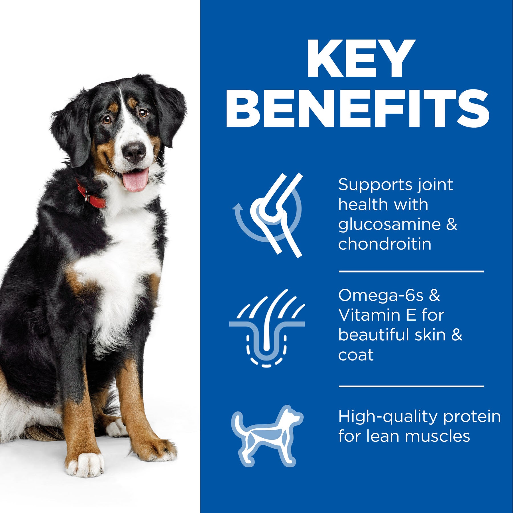 Hill's™ Science Plan Adult Large Breed Dry Dog Food Chicken Flavour