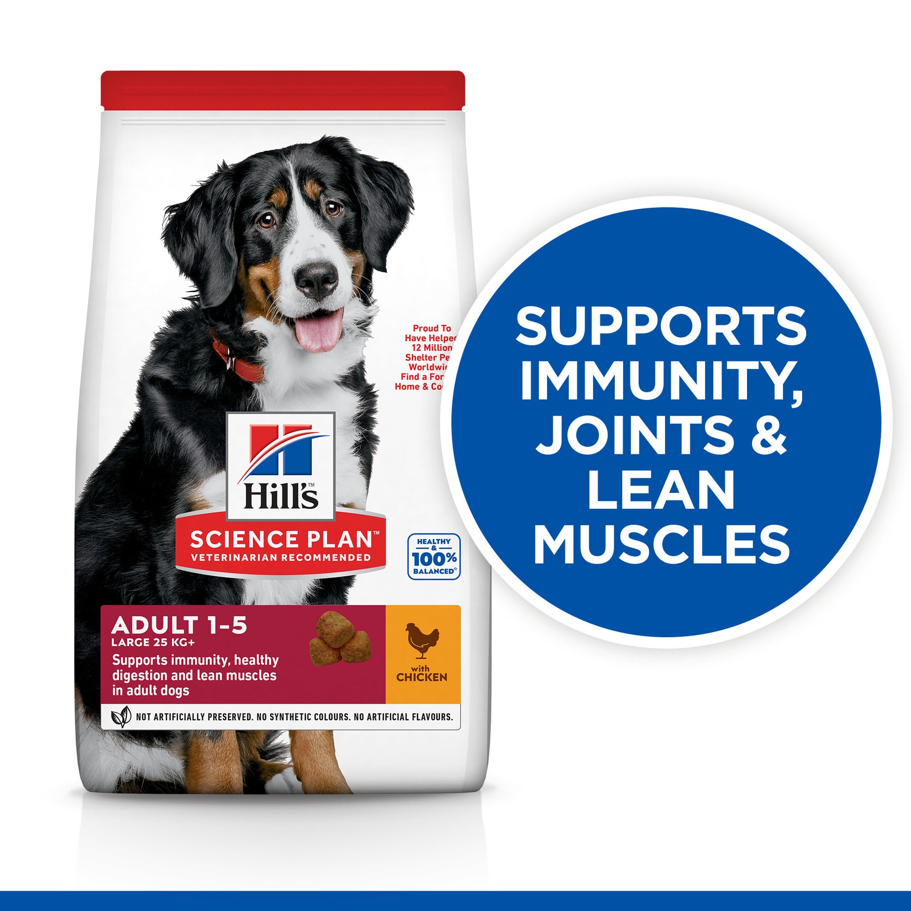 Hill's™ Science Plan Adult Large Breed Dry Dog Food Chicken Flavour