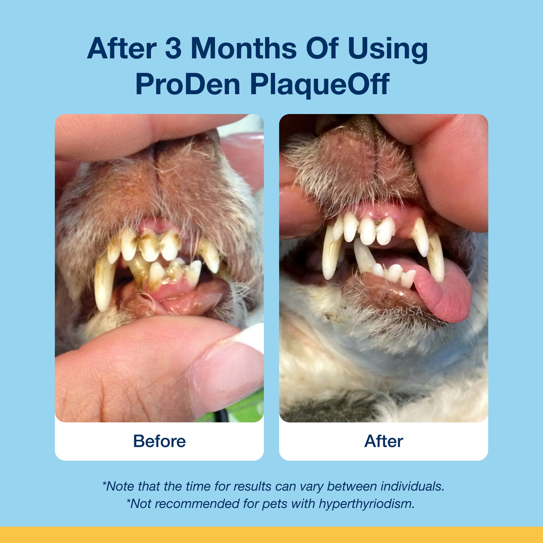 Plaque Off Dental Soft Chews Cats 120 Chews