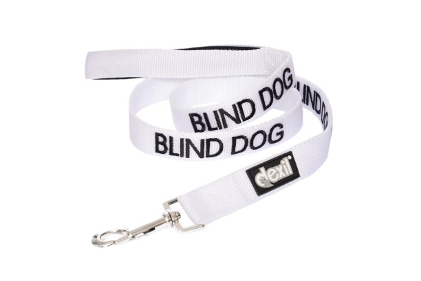 "Blind" Dog Lead by Friendly Dog Collars