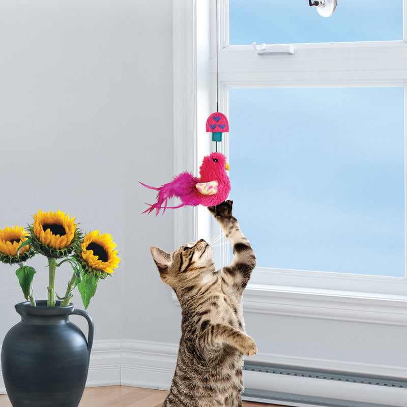 KONG Cat Window Teaser Assorted