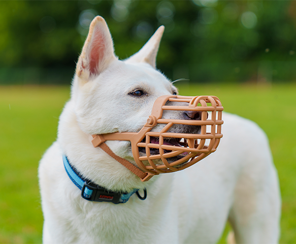 Baskerville Classic Basket Dog Muzzle (10 sizes)
