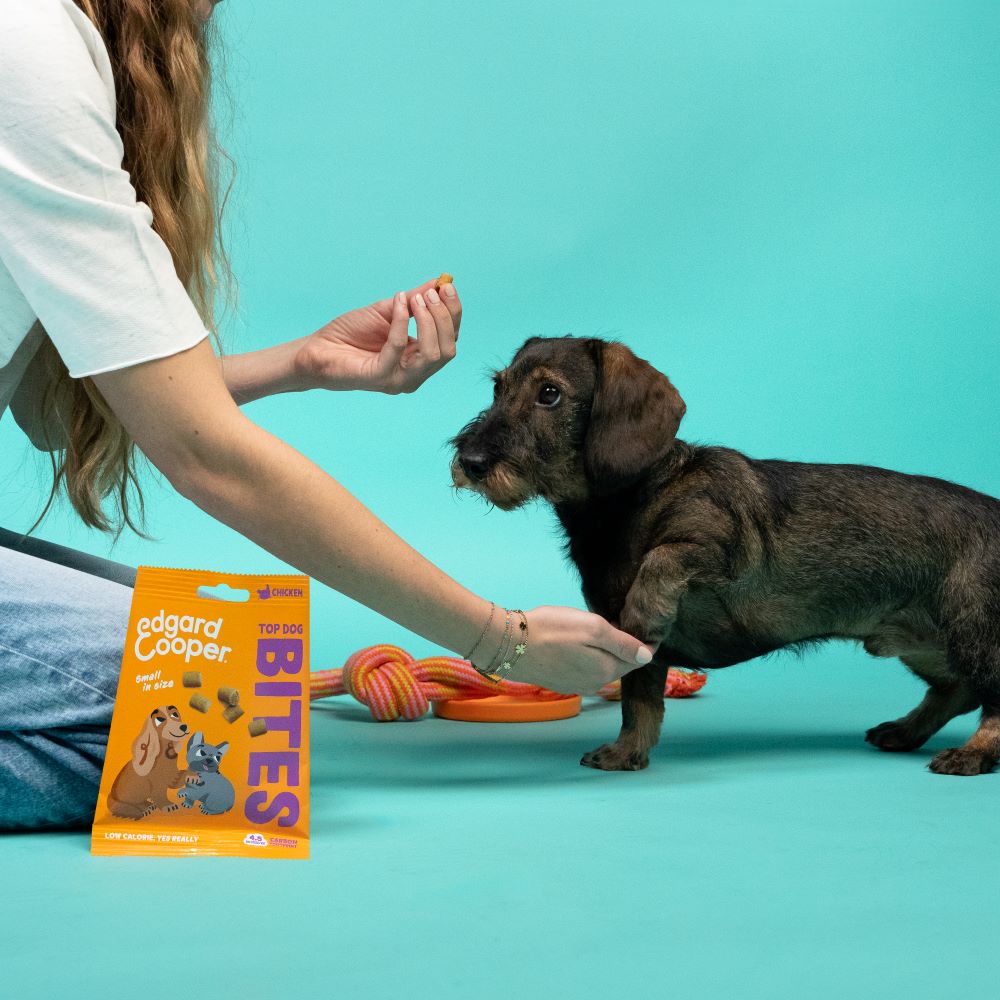 Edgard & Cooper Apple and Blueberry Small Bites 50g