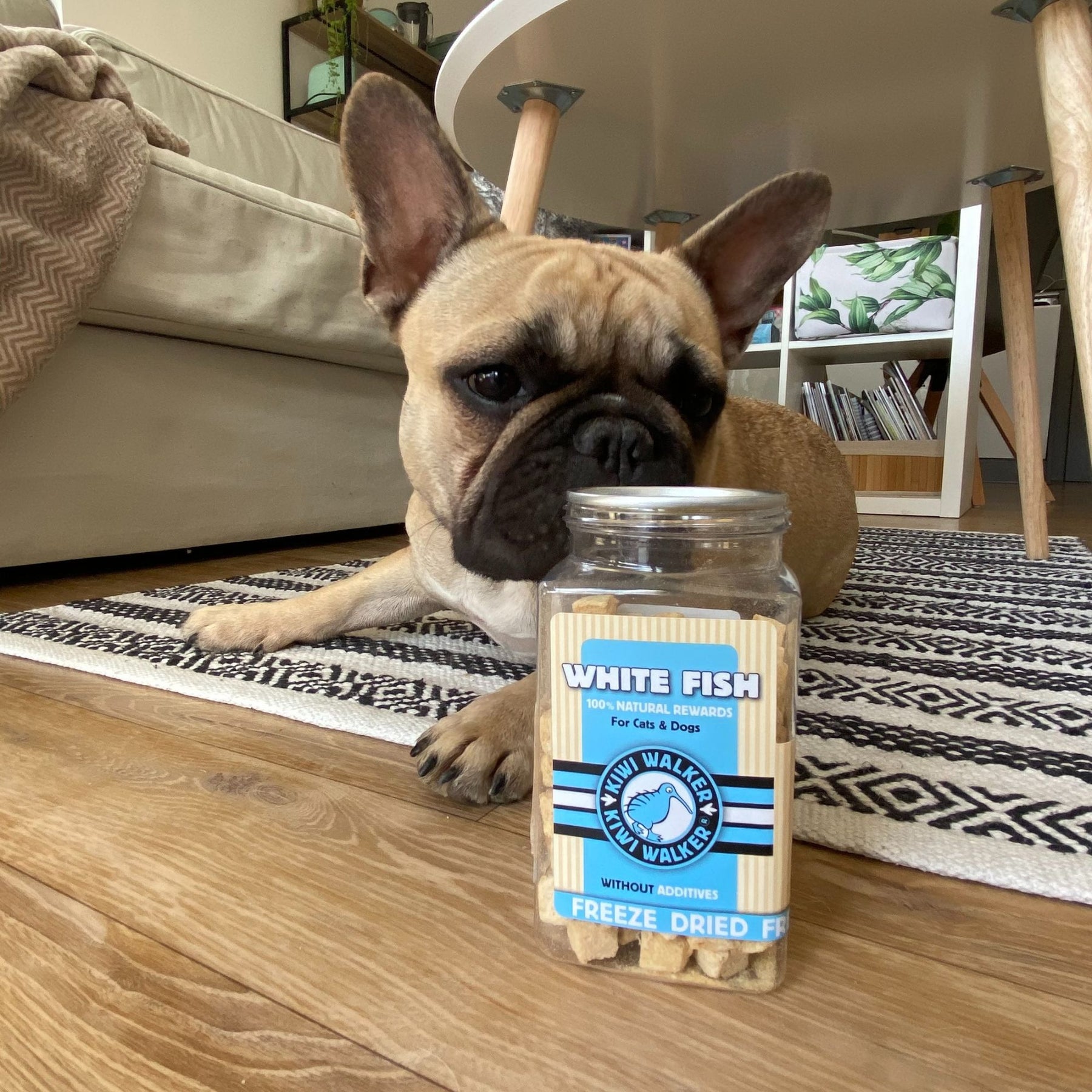 Kiwi Walker Snack White Fish