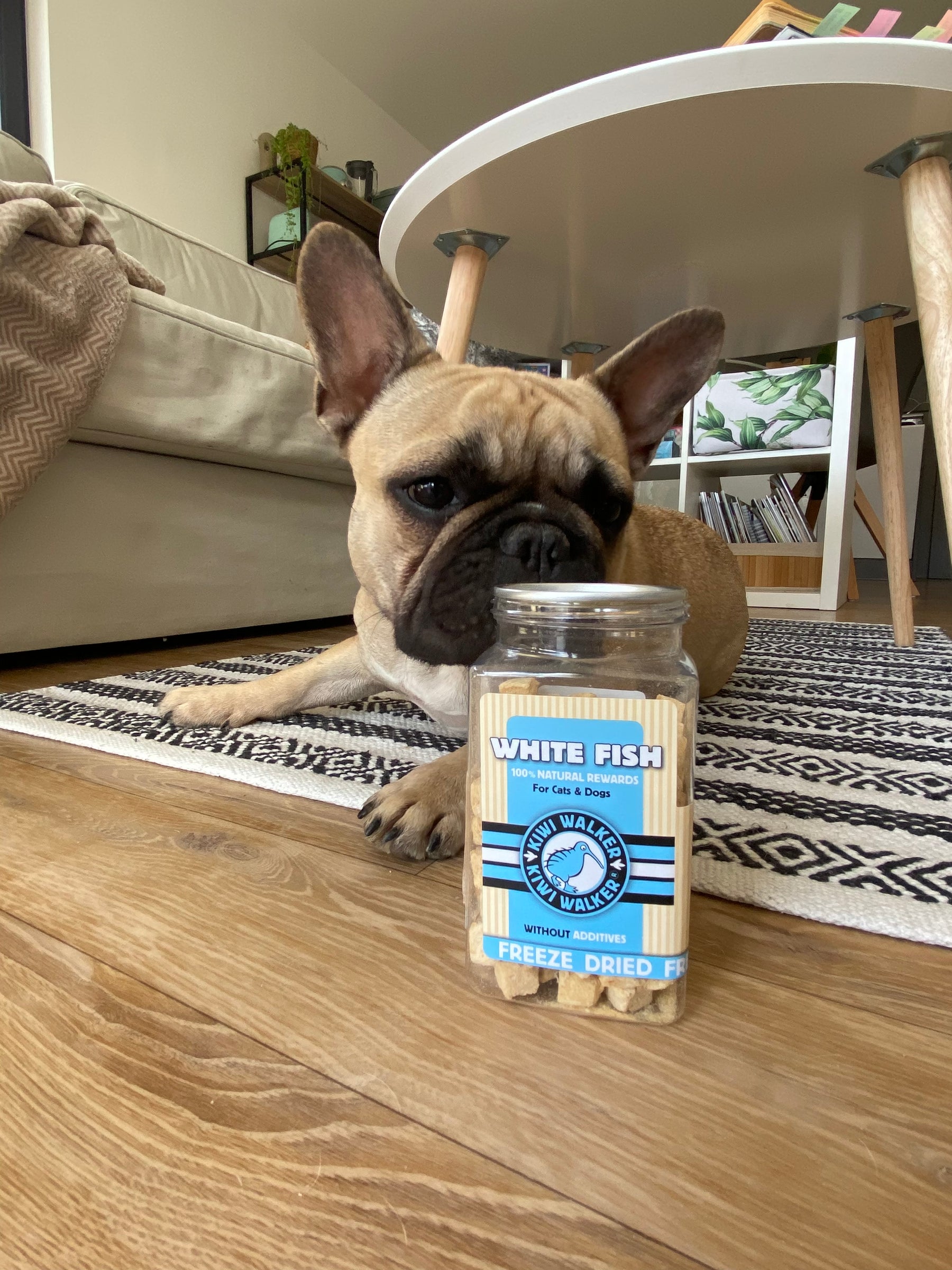 Kiwi Walker Snack White Fish