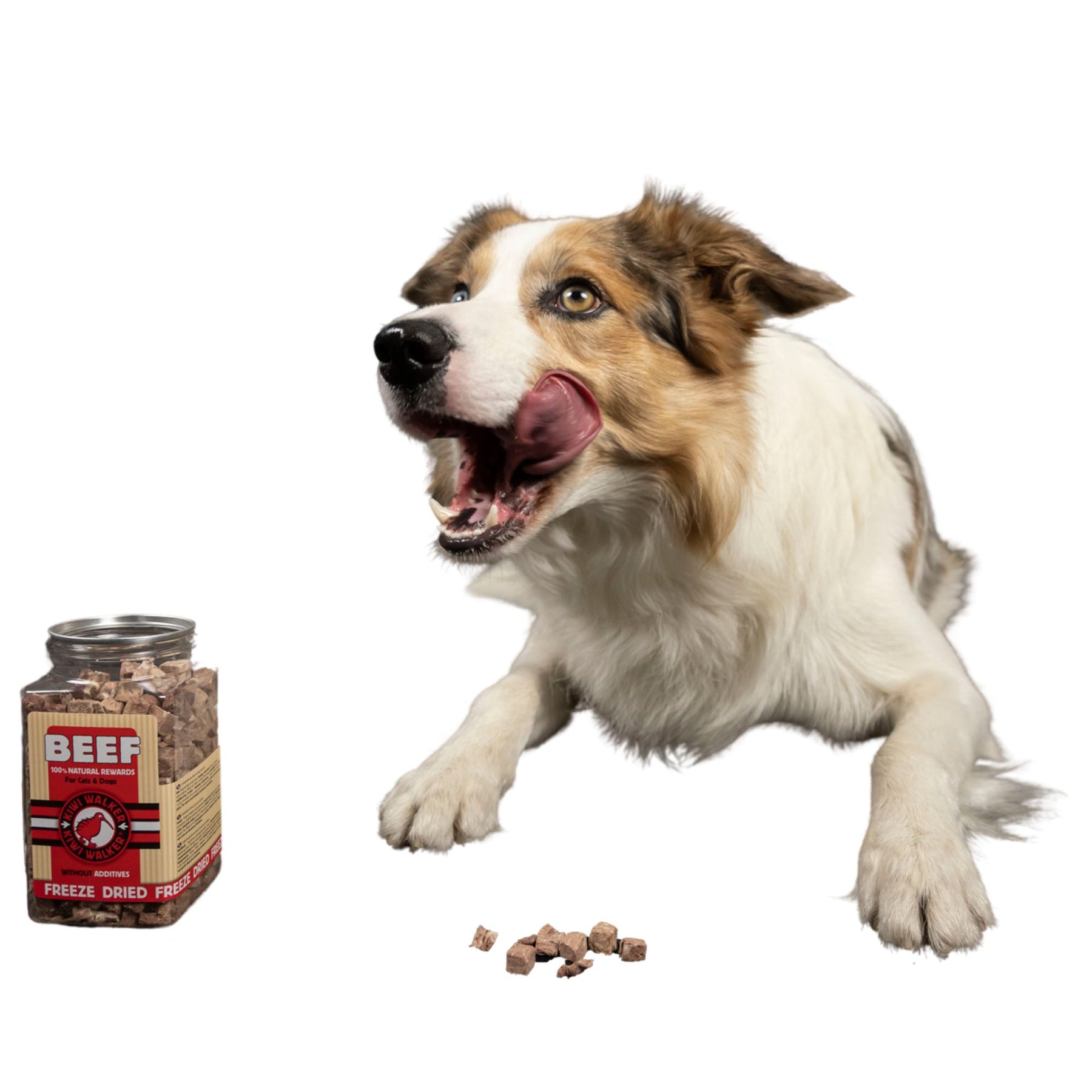 Kiwi Walker Snack Beef