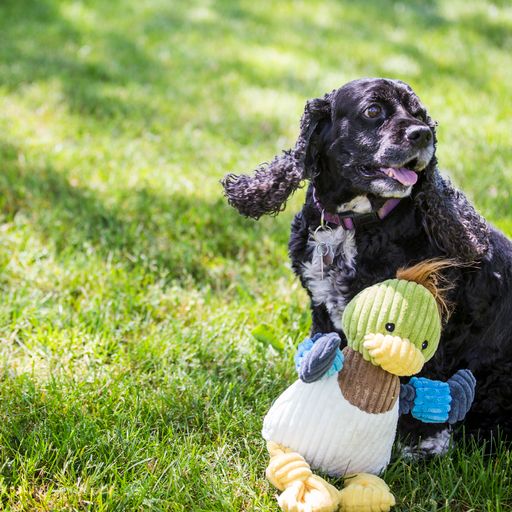Hugglehounds Duck Small