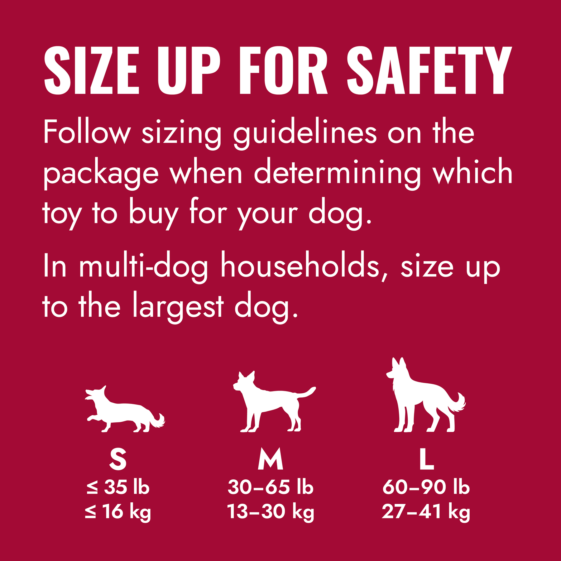 KONG Ball with Hole Dog Toy Large