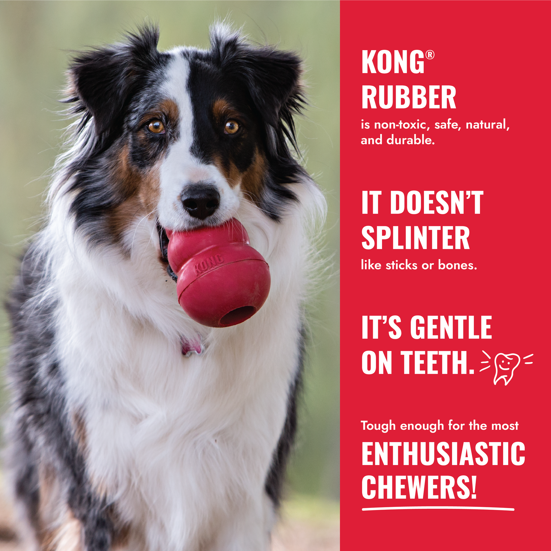 KONG Ball with Hole Dog Toy Large