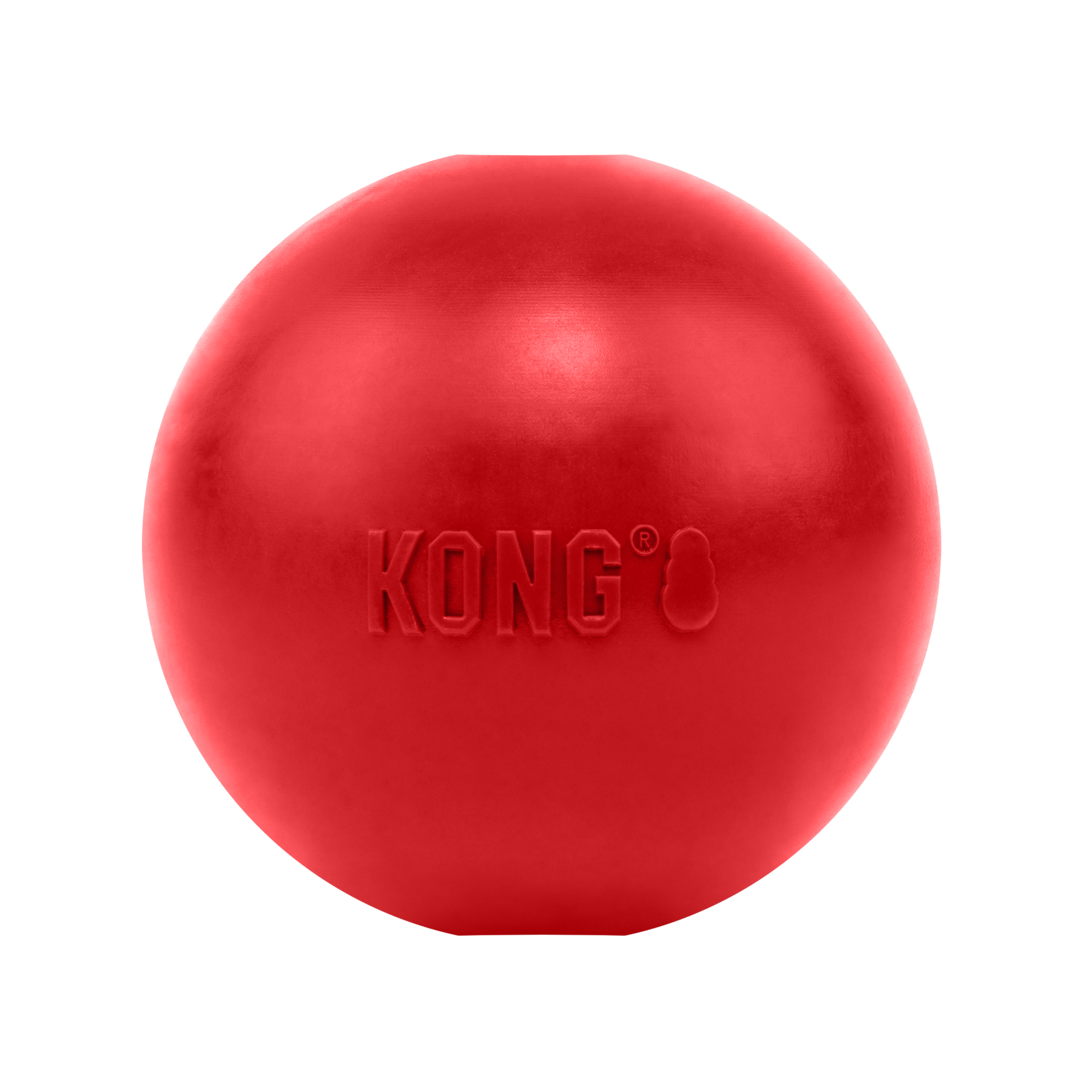KONG Ball with Hole Dog Toy Large