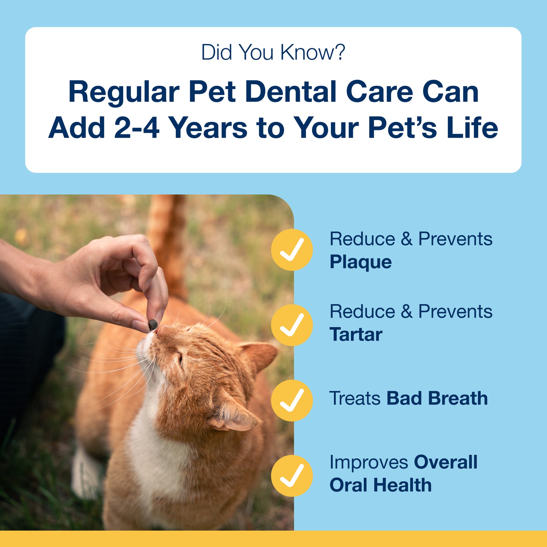 Plaque Off Dental Soft Chews Cats 120 Chews