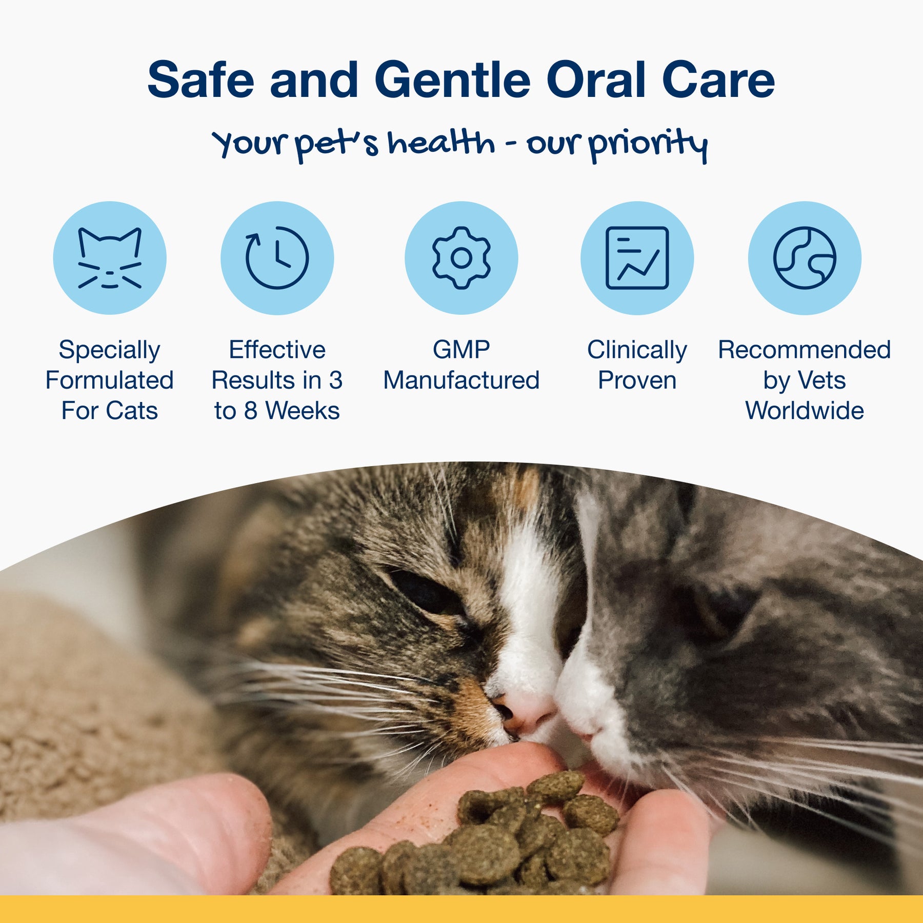 Plaque Off Dental Bites Cats Salmon 60g