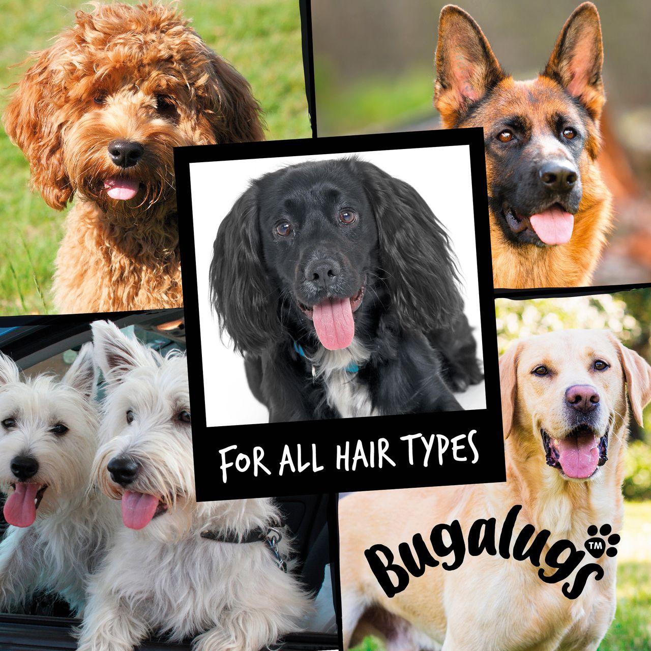 Bugalugs 4 in 1 Lavender & Chamomile Dog Shampoo