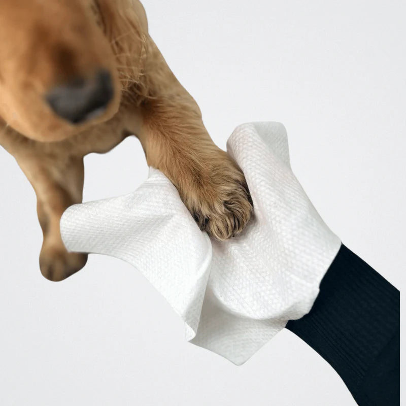 DotDotPet Mini Eco Dog Towels (10pk)