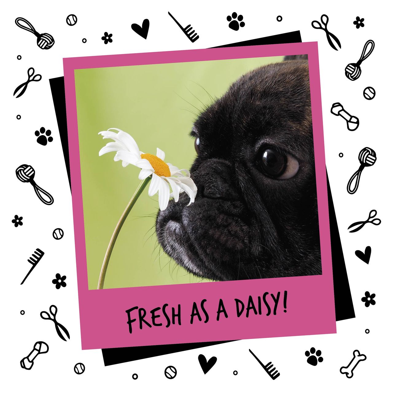 Bugalugs Baby Fresh Dog Cologne