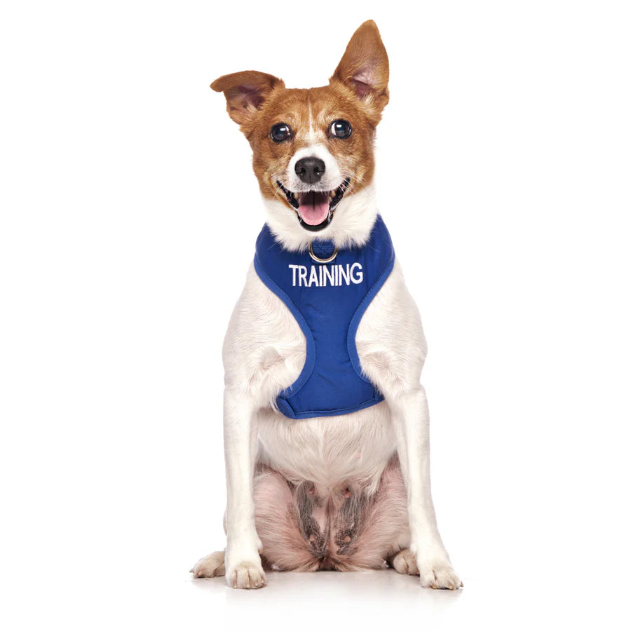 "Training" Dog Vest Harness by Friendly Dog Collars