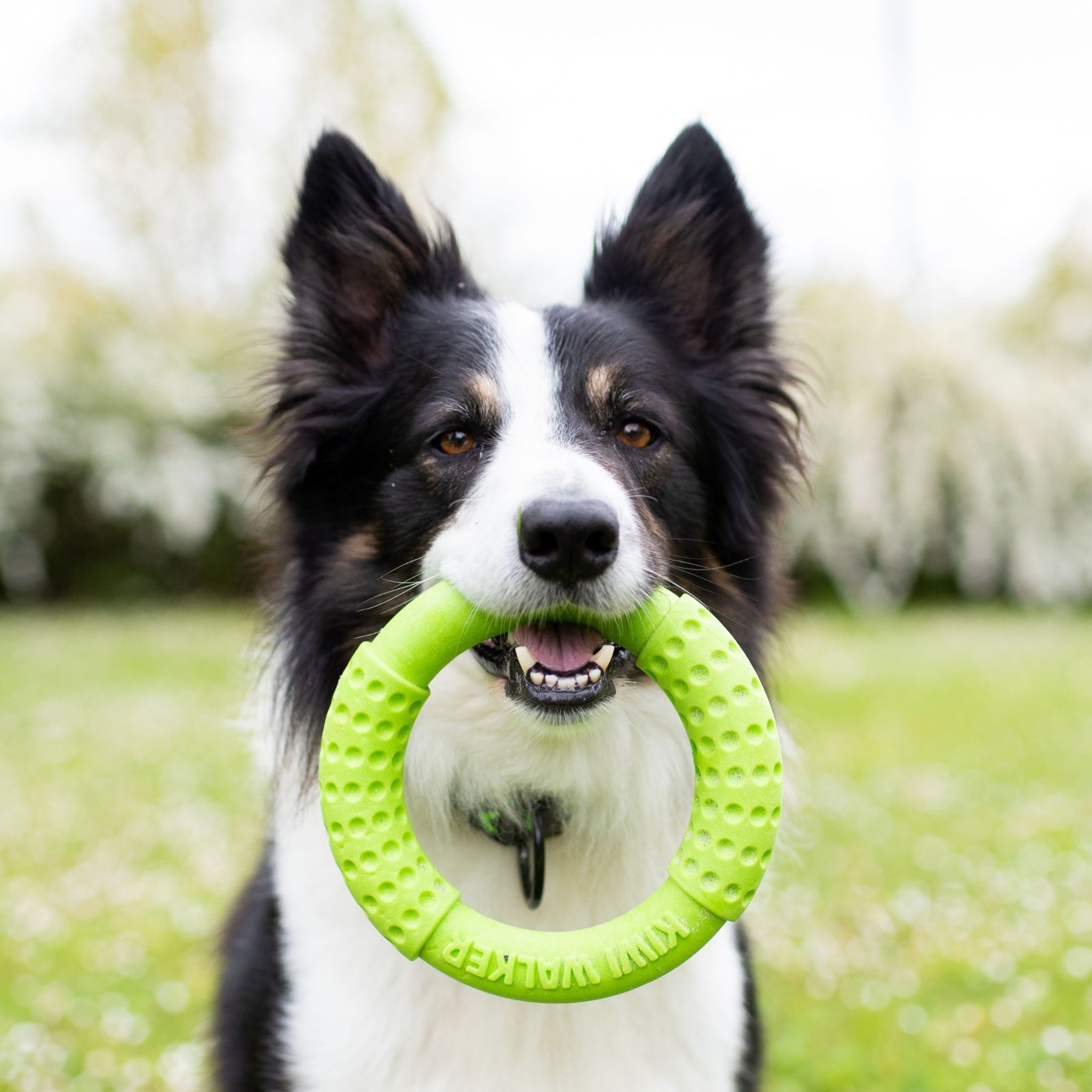 Kiwi Walker Let's Play! Ring Green (2 sizes)