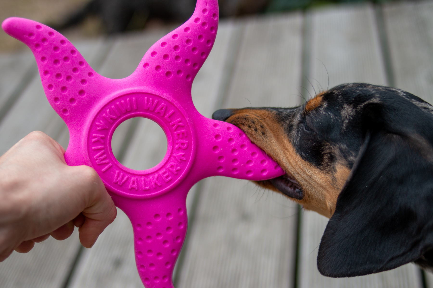 Kiwi Walker Let's Play! Octopus & Starfish Orange