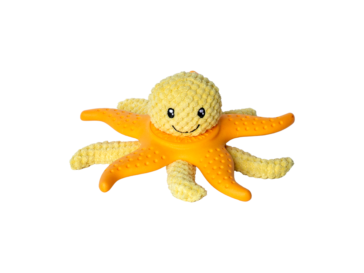 Kiwi Walker Let's Play! Octopus & Starfish Orange