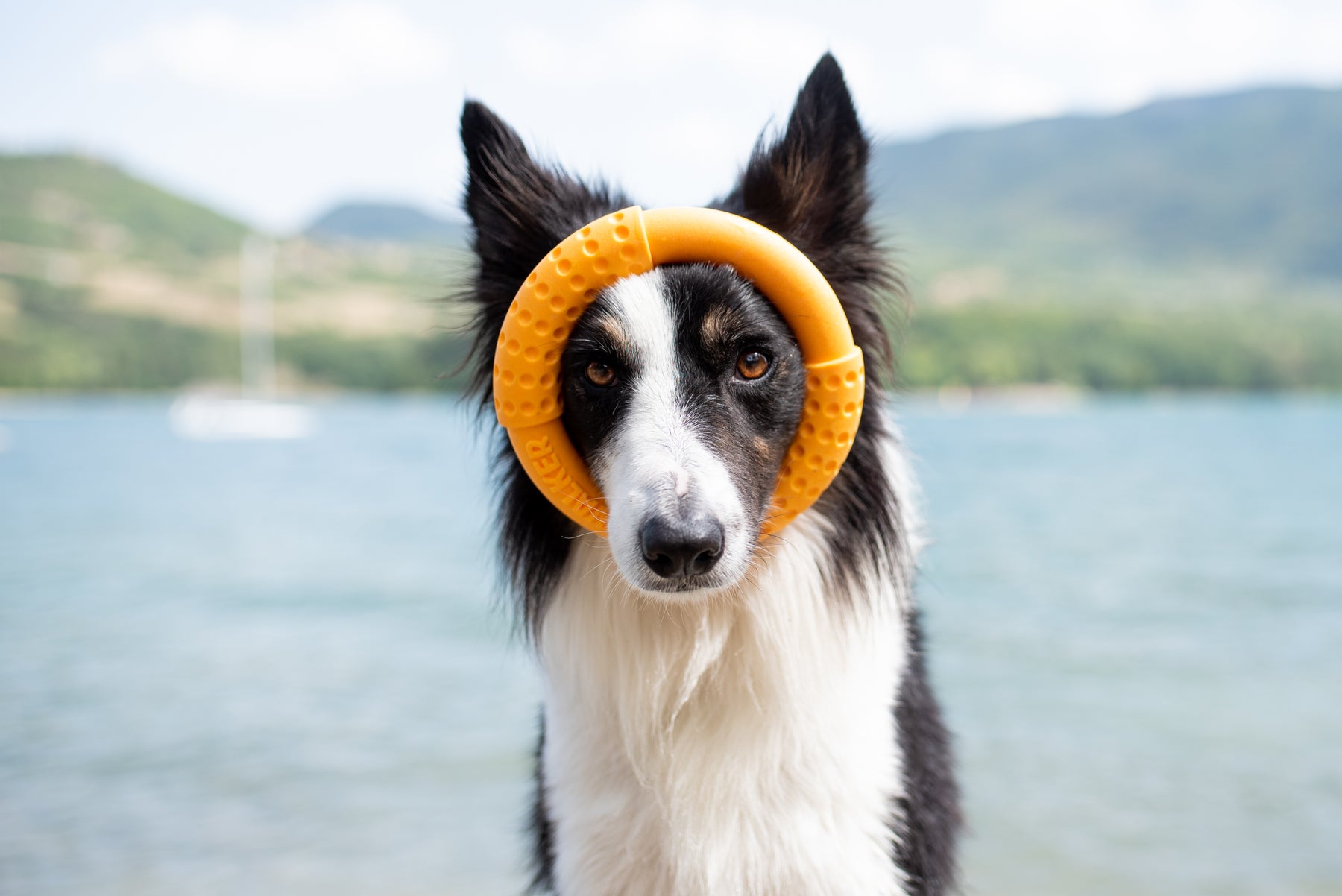 Kiwi Walker Let's Play! Ring Green (2 sizes)