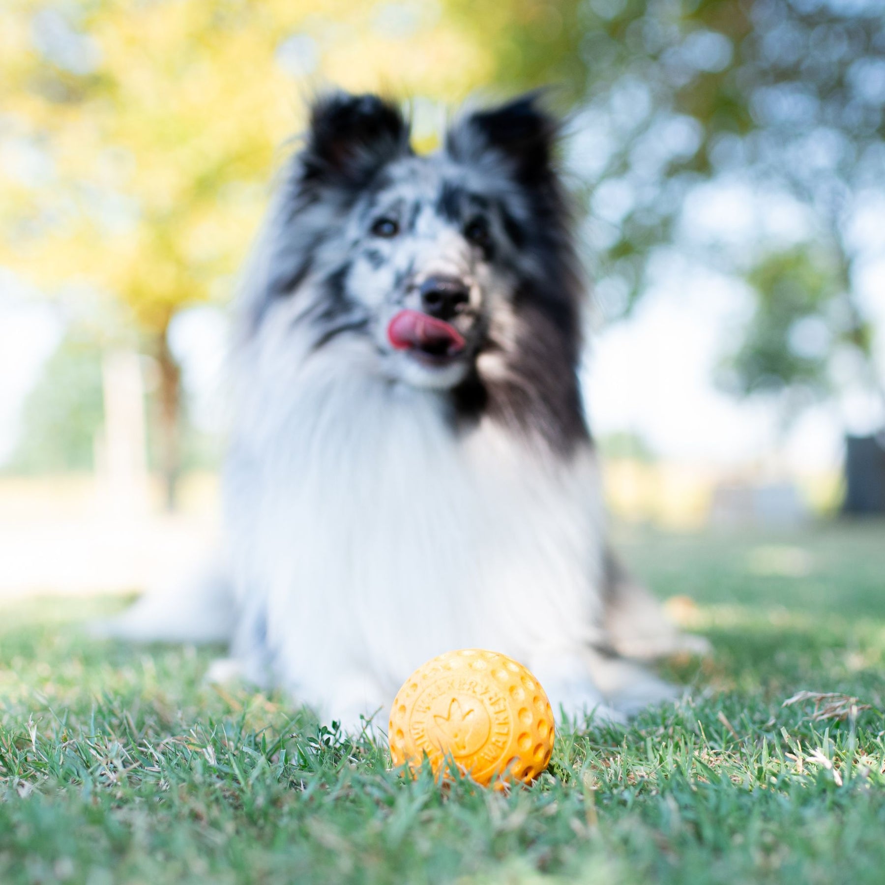 Kiwi Walker Let's Play! Ball Orange (2 sizes)