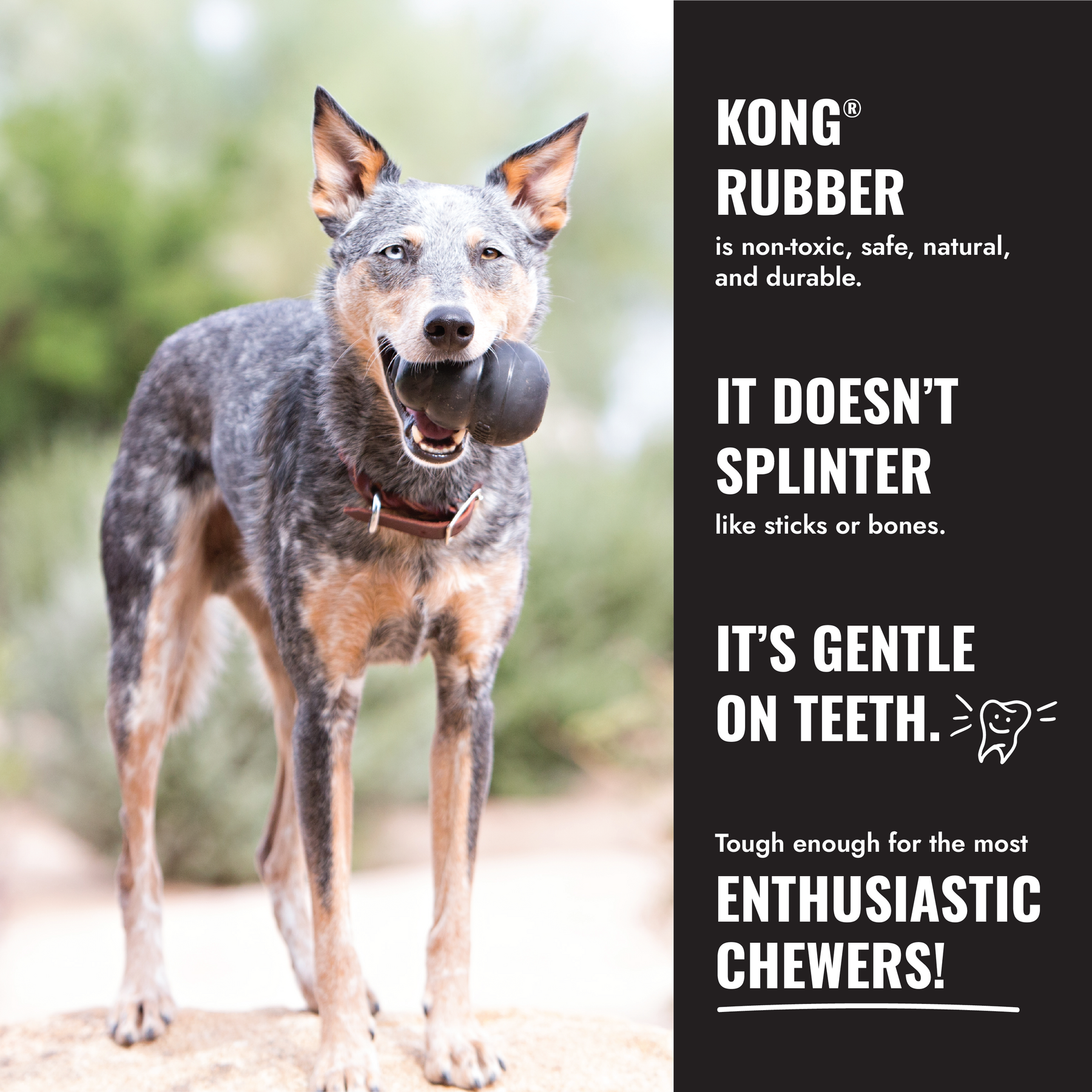 KONG Extreme Ball with Hole Dog Toy Large