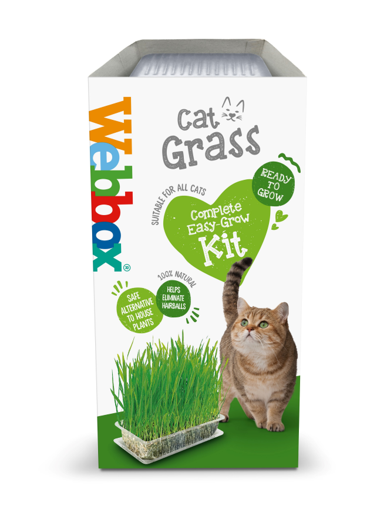 Webbox Cat Grass Kit (1 pack/ 6 packs)