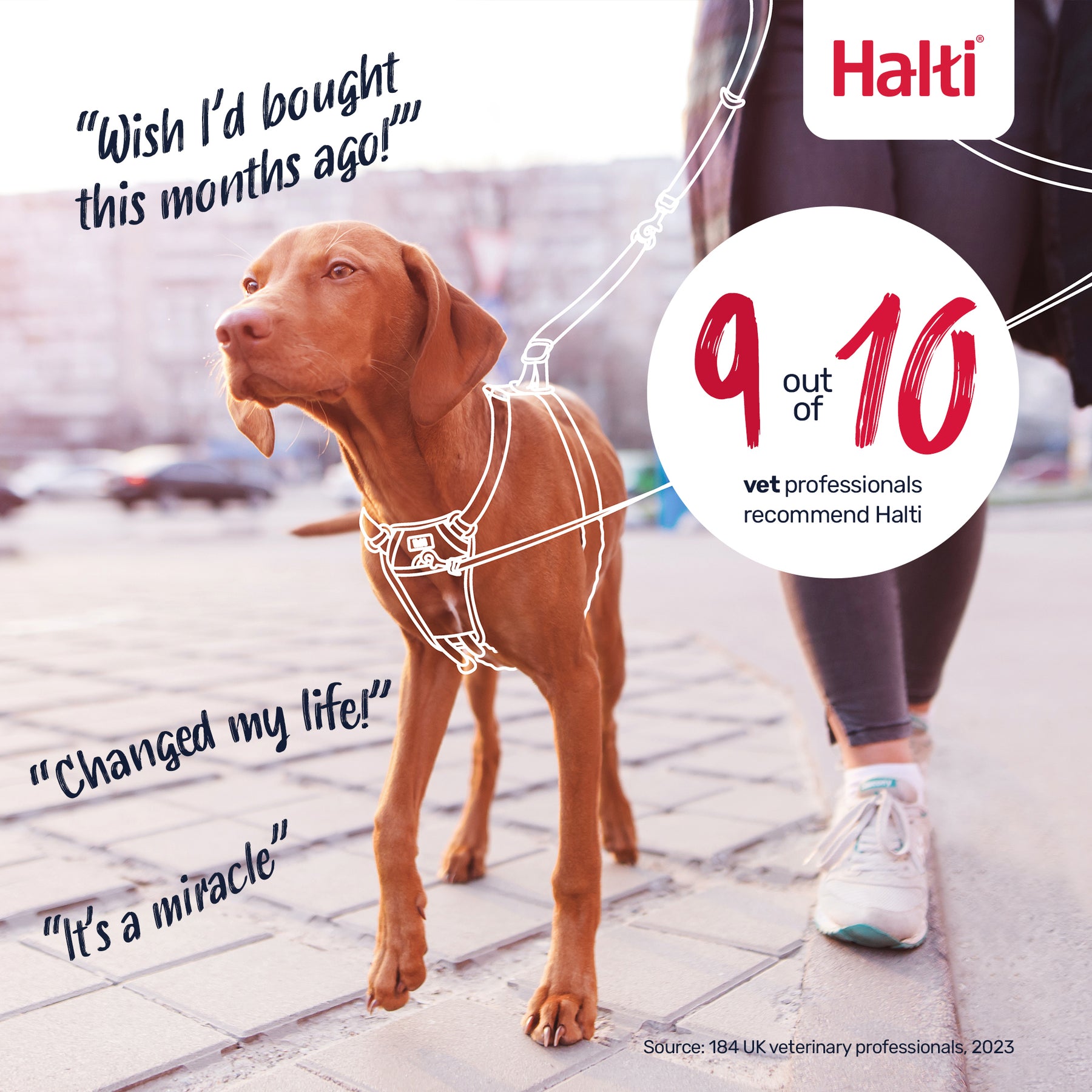 Halti No Pull Dog Harness