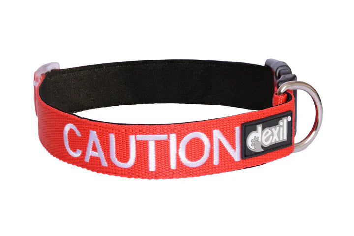 Caution Dog Collar by Friendly Dog Collars