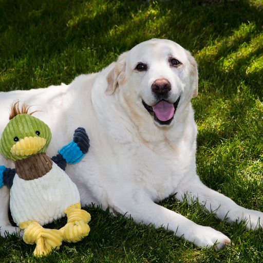 Hugglehounds Duck Small