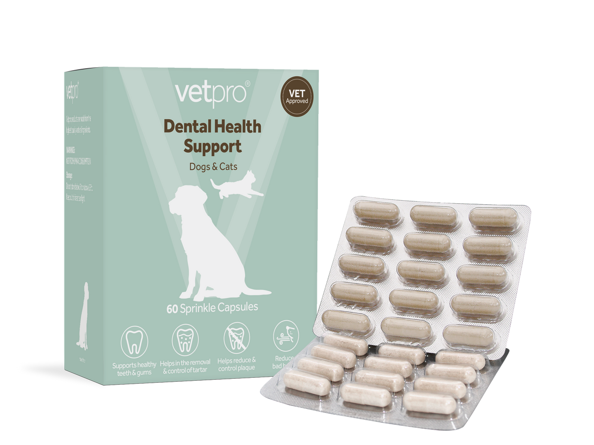 Vetpro Dental Health Support