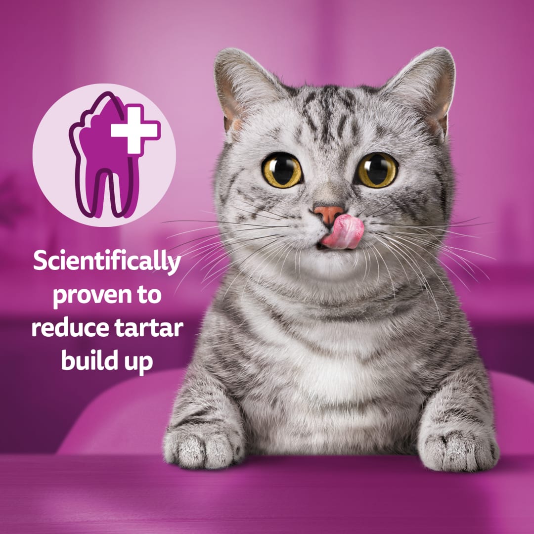 WHISKAS Dentabites Cat Treats with Chicken