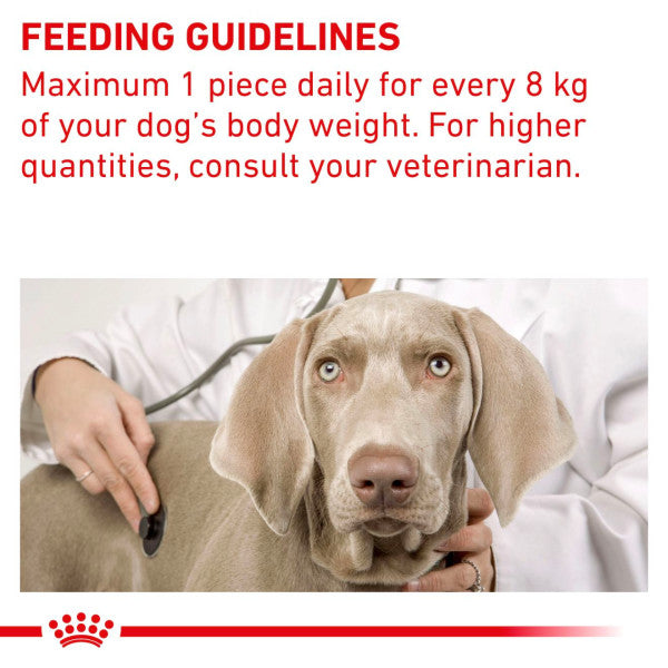 ROYAL CANIN® Pill Assist Medium/Large Dog Adult Dry Treat