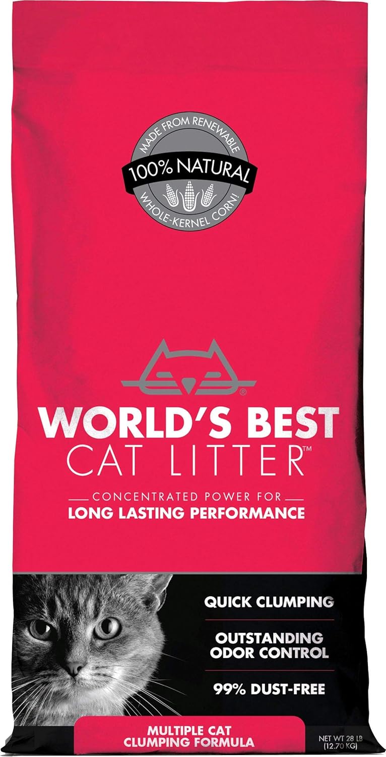 Odor Control The Best Cat Litter To Buy World's Best Cat Litter