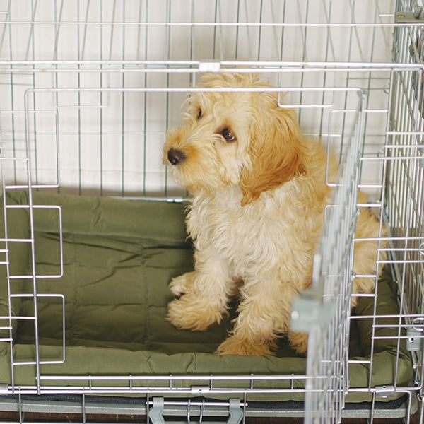 Rosewood 2 Door Dog/Puppy Homes (3 sizes)
