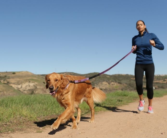 Halti Active Dog Lead Red Small