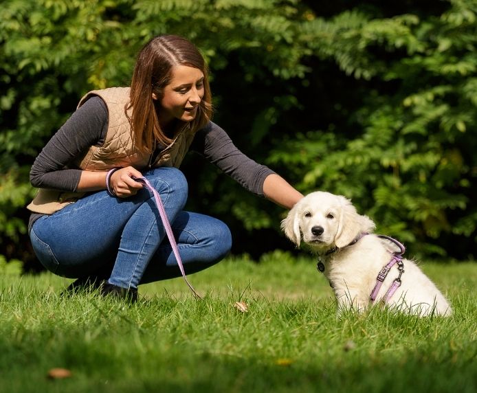 Halti Dog Lead Black Large