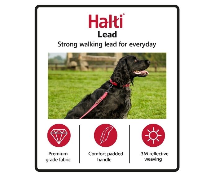 Halti Dog Lead Black Large