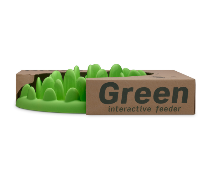 Green Slow Feeder