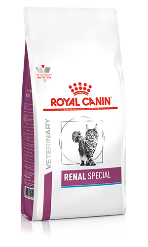 Special cat food discount