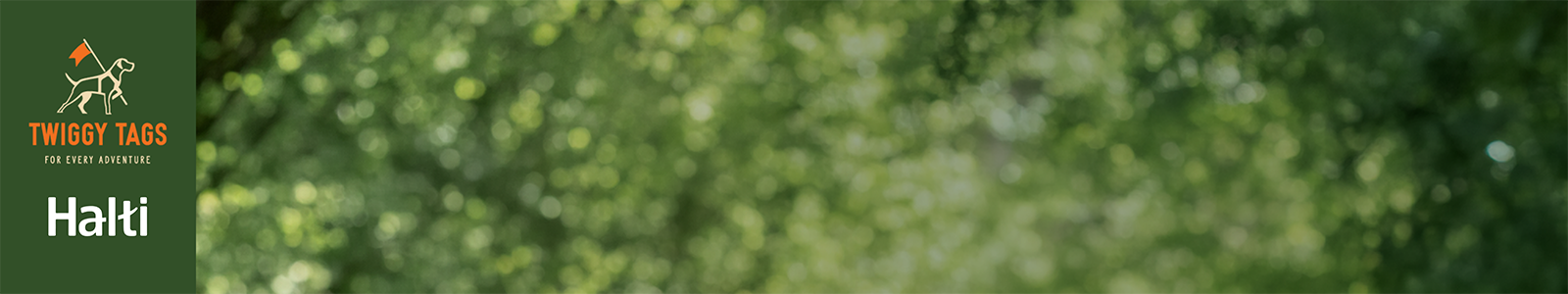 Save 25% with leads & collars